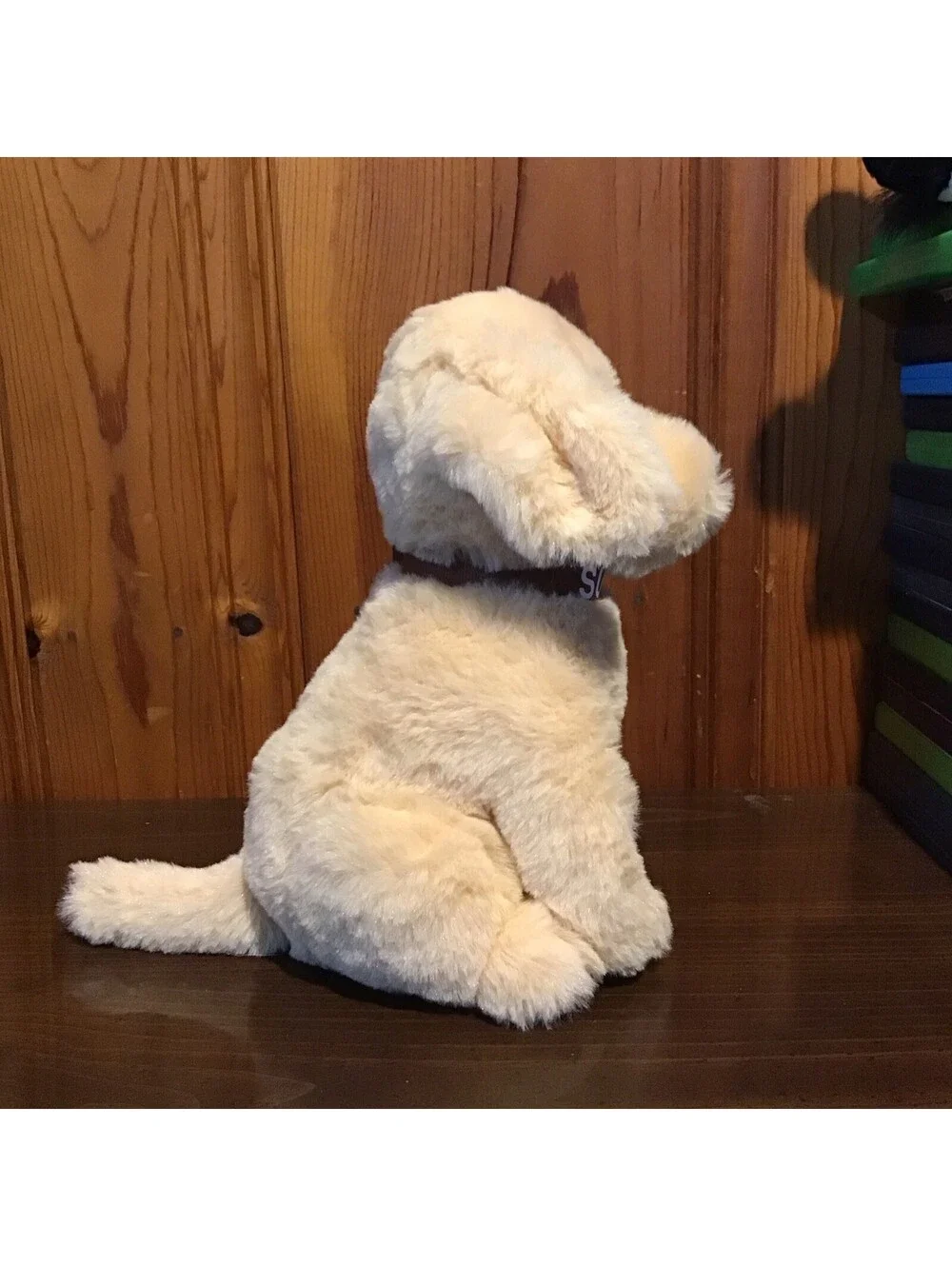 Chelsea Teddy Bear Plush Dog Subaru Collar Beige 9